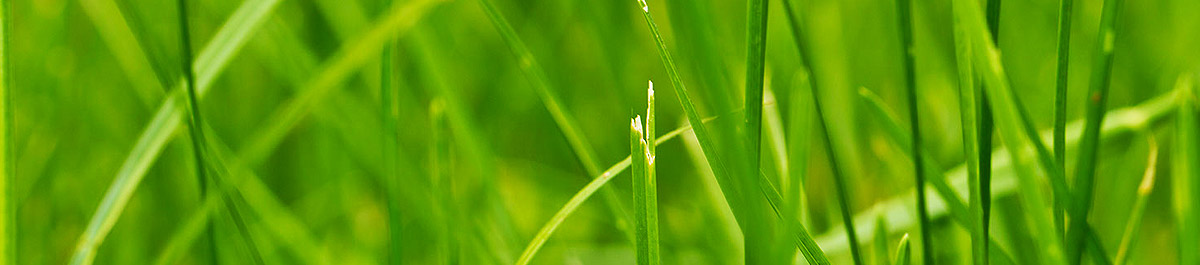 免费ddos在线攻击